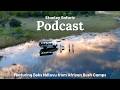 African Bush Camps: Beks Ndlovu on Safari, Conservation and Community in Southern Africa