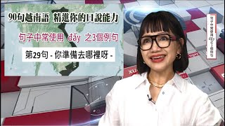 252【陳凰鳳90句越南語 精進你的口說能力】第29句  你準備去哪裡呀  句子中常使用 đấy 之3個例句之2