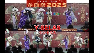 Y-SELAS(シンセラス)(live)/ウエノデ.パンダ春節祭2025(UENO de. PANDANEW YEAR FESTIVAL2025)