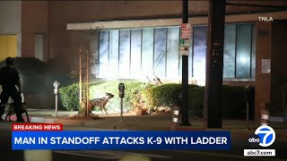 Suspect attacks LAPD K-9 with ladder during hours-long standoff