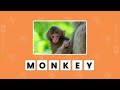 Guess The Animal by First 2 Letters  Animal Quiz