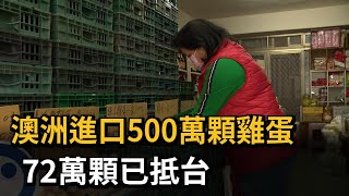 澳洲進口500萬顆雞蛋　72萬顆已抵台－民視新聞