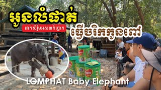 Lomphat is a baby elephant | អូនលំផាត់ធ្វើចរិកកូនពៅ បន្ទាប់ដាក់ស៊ីរ៉ូមអស់៣កំប្លោក #លំផាត់ #អូនលំផាត់