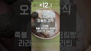 다이어트 #12 _1 빵순이는 주말만 기다려요.. 어때요? 이런식단? 이정도면 저 잘하고 있는거겠죠? #shots