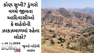 કોણ સુખી? ડુંગરો વચ્ચે જીવતા આદિવાસીઓ કે શહેરોની ઝાકઝમાળમાં રહેતા લોકો? જુઓ બોડેલી લાઇવ