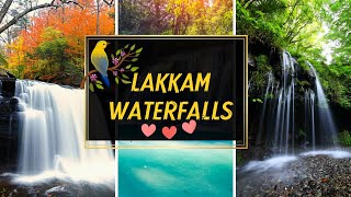 Lakkam Waterfalls detaild history in Tamil | Must visit place in Munnar | Lakkam Waterfalls Munnar