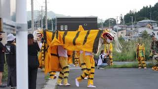 三陸山田祭り２０２３㉒境田虎舞Ⅱ