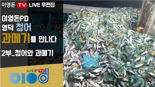 [LIVE무편집] 이영돈PD 영덕 청어 과메기를 만나다 2부_청어와 과메기를 알아보다