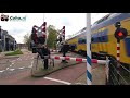 Spoorwegergang Helvoirtseweg, Vught // Dutch railroadcrossing -😍4K😍