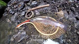 2015,7月5日神流川中ノ沢毛ばり釣り専用区フライフィッシング,july,5kannariver fly fising