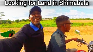 They are selling two pieces of land in Shimabala