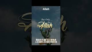 进入乐园或火狱的人#古兰经 #穆罕默德 #allah #islam #kuran