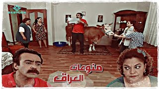 سنان جايب البقرة على البيت وعمته حسنية وحنين ينصدمون|مسلسل تكسي الامان