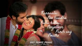 Hey Penne Penne song from kattappava kaanom...