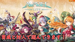 【アヴァベル】本家を少し遊んでライトのチムデス行きます【アヴァベル】