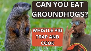 GROUNDHOG CATCH \u0026 COOK | From Garden Menace to Delicious Meal | Spring 2023