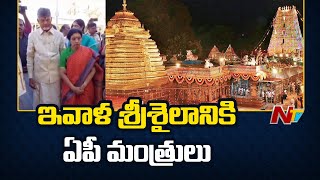 Srisailam: మహాశివరాత్రి బ్రహ్మోత్సవాలపై సీఎం చంద్రబాబు ఫోకస్ | NTV