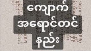 ကျောက်အရောင်တင်နည်း