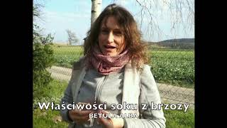 DOBRE ZIOŁO odc.7, BRZOZA BIAŁA | Marzena Andrzejewska, HIPOALERGICZNI