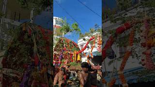 Kumarakovil Murugan Festival 🦚 🕉️ #shorts #shortsfeed #kumaraswamy #kumarakovil #kanyakumari