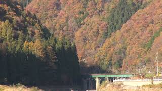 燃える山「特急ひだ」高山本線 角川～飛騨細江