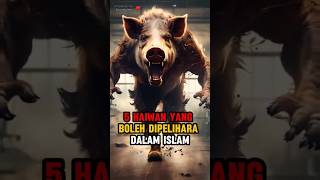 5 haiwan yang boleh dipelihara dalam Islam #videoislami #haiwan