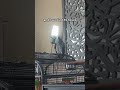 this is proof gizmo is a grumpy grandpa 🤣 talkingparrot africangrey funnypets gizmo