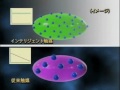 見えなかった世界が見える spring 8 研究成果編