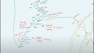 MCAT AAMC FL 2 Review with a 100th percentile scorer.