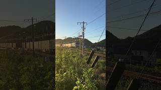 しんぢゅく撮り鉄日記#15 銀河待ちの時の1本#撮り鉄 #電車 #貨物列車 #shorts