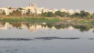 Malkam Cheruvu or Upparpalli Lake #hyderabad #lake #cheruvu #walking