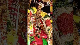 சித்திரை திருவிழா ரிஷப வாகனம் ✨🙏🌟🔥🌟🙏✨🥰😍🏵️🌻🌷🌺🌷🌻🏵️😍🥰