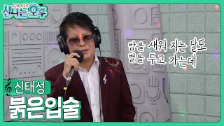 신태성 - 붉은 입술 (#신나는오후 2024.10.31.) #k_music #트로트 #trot