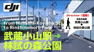 【道順】東急目黒線・武蔵小山駅～林試の森公園への行き方│from Musashi-Koyama St.to Rinshinomori-Park│東京・林試の森公園【DJIpocket2】