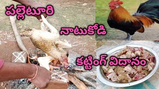 పల్లెటూరిలో నాటుకోడి కోత  చాలా సులువుగా చెయ్యవచ్చు//Natukodi Cutting  very easily in the village