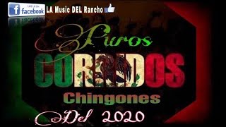 Puros Corridos Chingones🇲🇽☠️Parte 1☠️ | By DJ Tauro