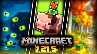 TODO sobre la SIGUIENTE ACTUALIZACIÓN de MINECRAFT | 1.21.5