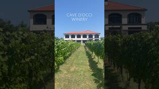 まるで外国のようなワイナリー#cavedocciwinery #wine #winery #niigata #japan #カーブドッチワイナリー#shorts #afternoontea