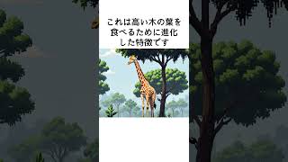 【キリンのベロ】あなたが知るべき 新の雑学