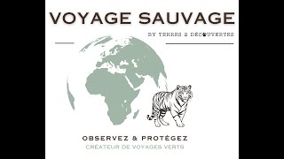 Voyage Sauvage • 2024 v2 1