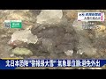 日本海沿岸氣溫急凍！ 青森、新潟強風暴雪不斷－民視新聞