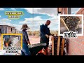 143~ MUY PRACTICO PARA ORDENAR LA LEÑA / MUCHO VIENTO / DIVIDIREMOS EL GALLINERO #vlog #campo