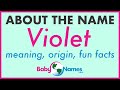 VIOLET Name Meaning, Origin, Nicknames & More