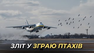 ЗЛІТ У ЗГРАЮ ПТАХІВ | Ан-124 \