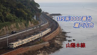 JR西日本 115系3000番台 N-04編成 走行集『のどかな山陽路を行く』