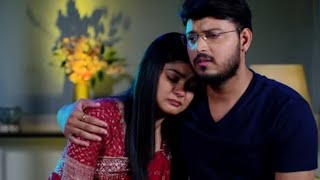 Rajayoga | 14th Jan 2025 |  Episodic Promo-339 | Tarang TV | Tarang Plus