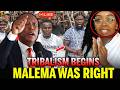 MALEMA WAS RIGHT! South Africans Chased Foreigners… Now Tribalism Is Tearing Them Apart!