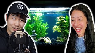 I Got Roasted on Fish Tank Review (ft. @FishForThought)