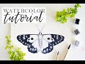 LIVE 🦋 How to Paint a Watercolor Butterfly | Spotted Jezebel Tutorial