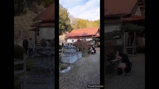 神社仏閣・史跡紹介 No.203【陽徳寺】（ 愛知県犬山市善師野下ノ奥 ）